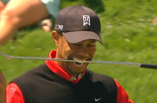 Tiger-Woods-n-un-mondial-golf.png