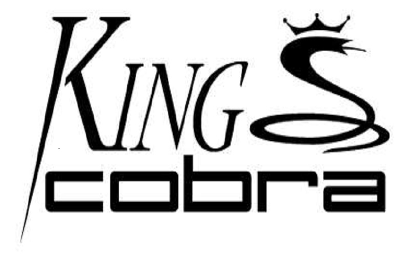 King Cobra, le retour pour 2016 ?